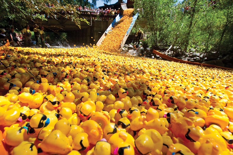 26TH ANNUAL DUCKY DERBY Aspen Square Hotel Blog
