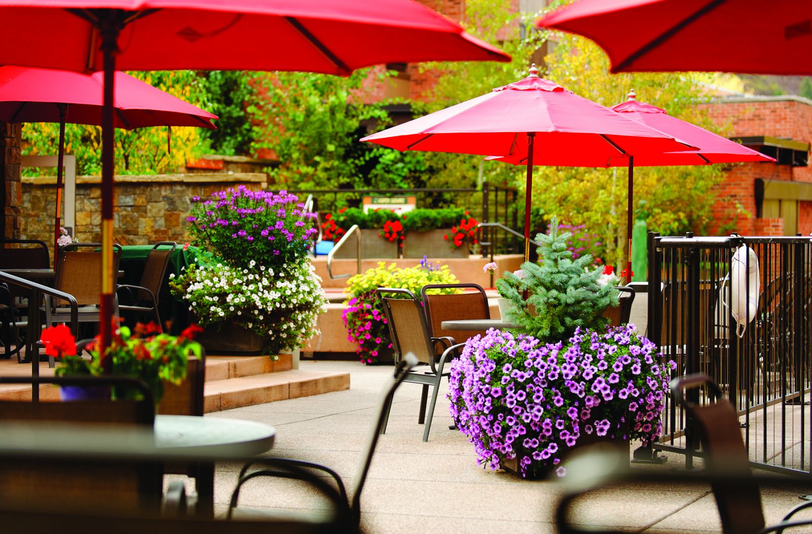 Aspen Square Hotel colorful Courtyard