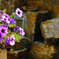 Exterior flowers at Aspen Square in the summer