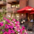 Exterior of Aspen Square in the summer