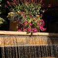 Exterior water feature at Aspen Square in the summer