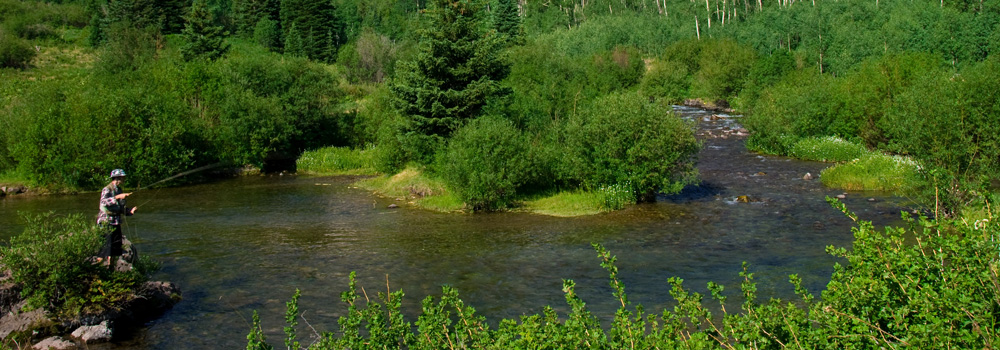 A man fly fishing in the river