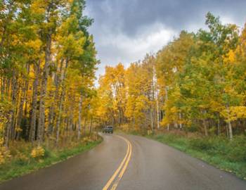 A vehicle driving along Highway 82 to Independence Pass surrounded by yellow aspen leaves