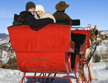 A horse pulling a family over snow on a sleigh 