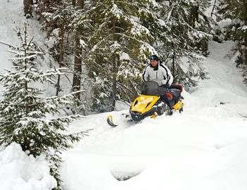 A snowmobiler on the mountain surrounded by trees