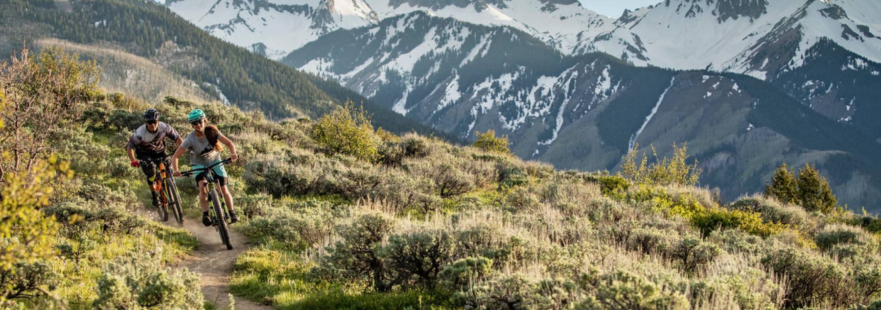 Fall In Aspen Fall in Aspen Matt Power Photo