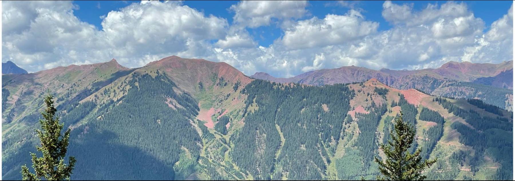 Aspen in the Summer Aspen in the Summer