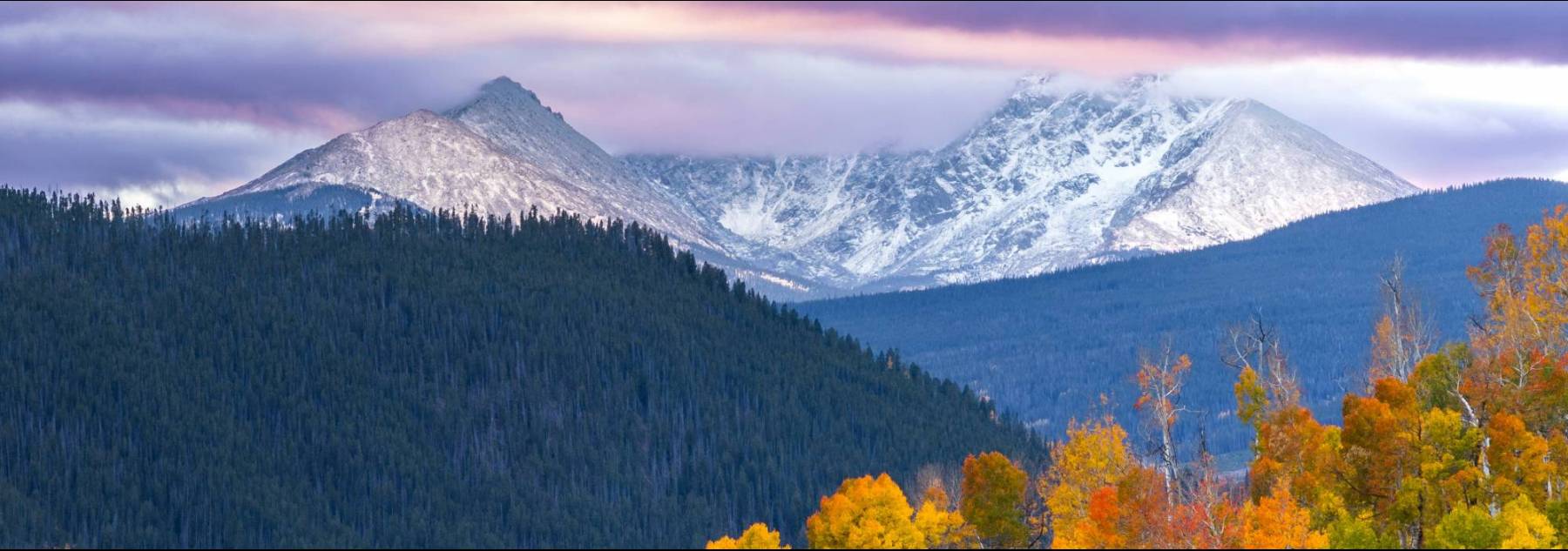 Aspen trees changing color with snow covered peaks in background Aspen trees changing color with snow covered peaks in background