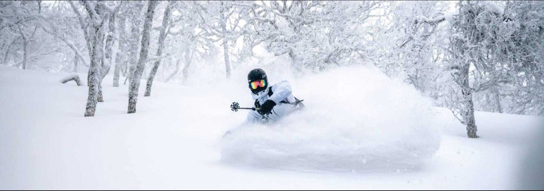 Powder Skiing