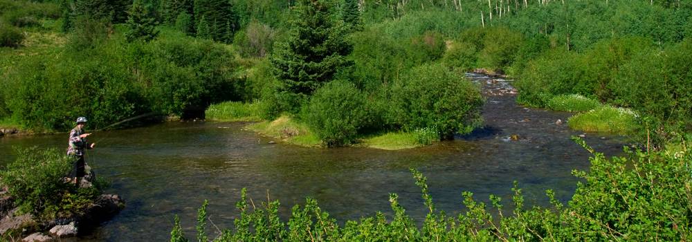 A fly fisherman standing in the river