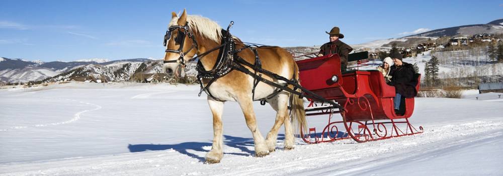 A horse pulling a family over snow on a sleigh 