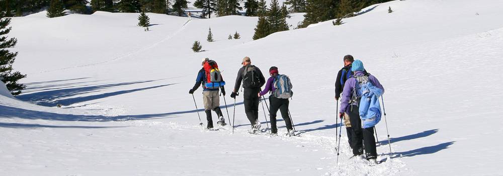 A group of people snowshoeing through the snow