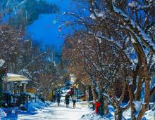 Walking in Aspen Walking in Aspen