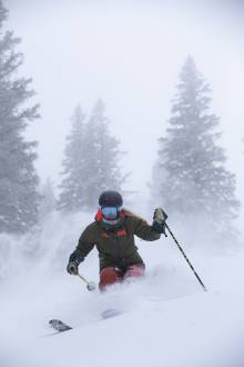 Skiing in powder in Aspen